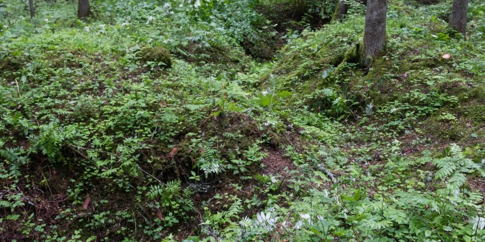Masu kapā atrastas 35 cilvēku mirstīgās atliekas, tajā skaitā arī septiņu bērnu, kuri visi ir bijuši Baldones iedzīvotāji.