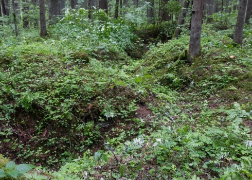 Mežā pie Baldones atklāti līdz šim nezināmi ebreju masu kapi