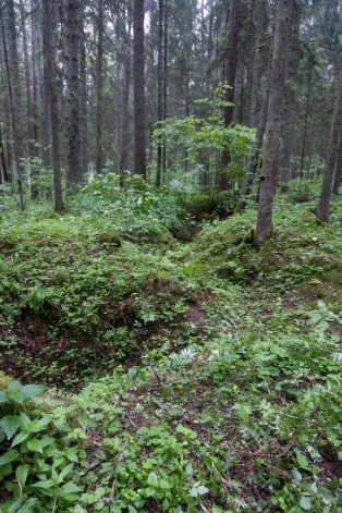 Masu kapā atrastas 35 cilvēku mirstīgās atliekas, tajā skaitā arī septiņu bērnu, kuri visi ir bijuši Baldones iedzīvotāji.