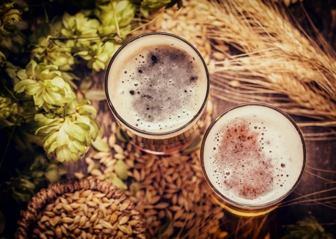 Все о пиве: почему возникает "пивной живот" и что в нем плохого