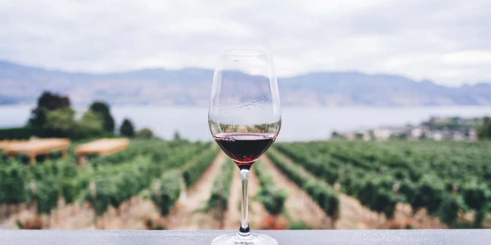 Vīna sajaukšana - sena prakse, kas ir no jauna populāra, un Jums noteikti jāizbauda sajaukto gruzīnu vīnu