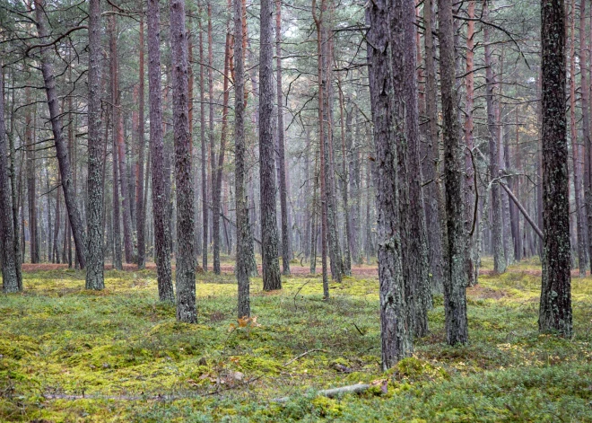 Как поступать в случае исчезновения близкого?