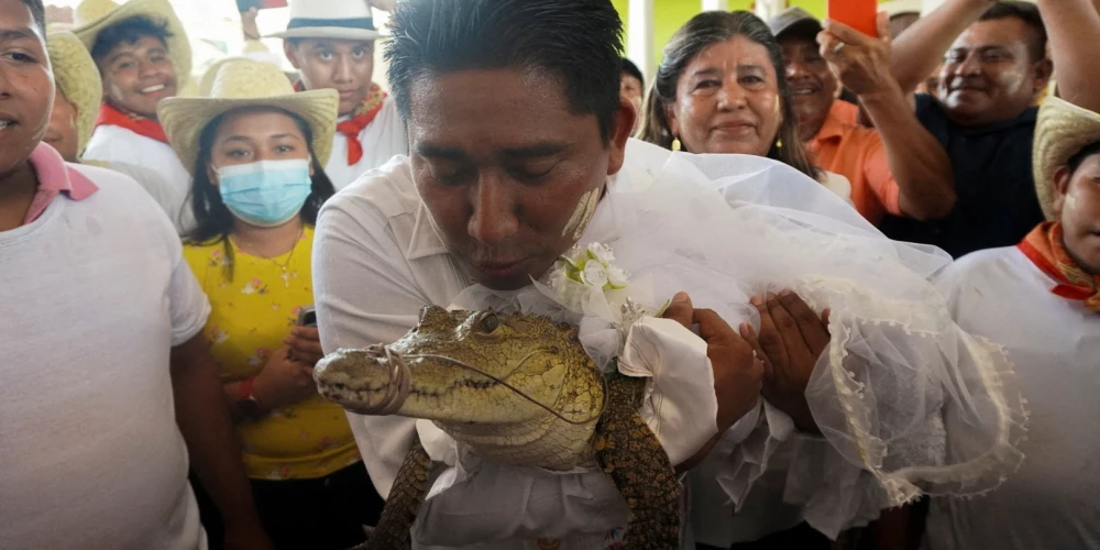 Мэр мексиканского города женился на самке крокодила. Невеста была в свадебном платье!