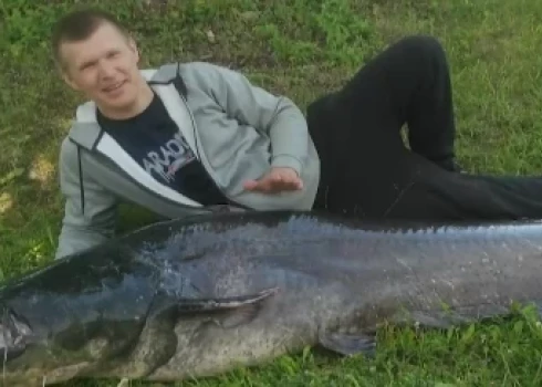 "Maigi izsakoties, bija šoks," - vīrietis no Daugavas izvelk zivi, kas lielāka par viņu pašu