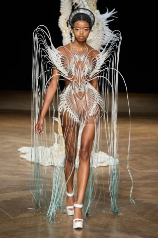 Iris Van Herpen 