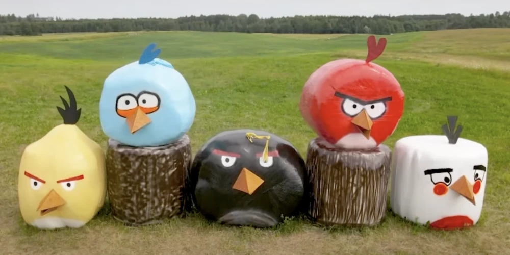 Angry Birds из тюков сена в Смилтенском крае (Фото: скриншот ReTV)