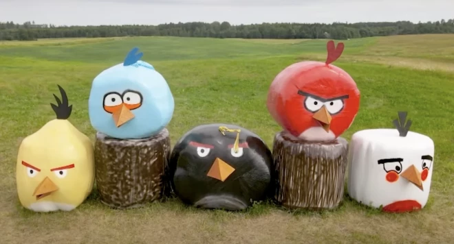 Angry Birds из тюков сена в Смилтенском крае (Фото: скриншот ReTV)