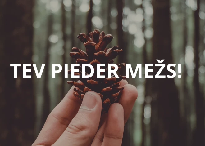 Parūpējies par savu nākotni – apdrošini mežu!