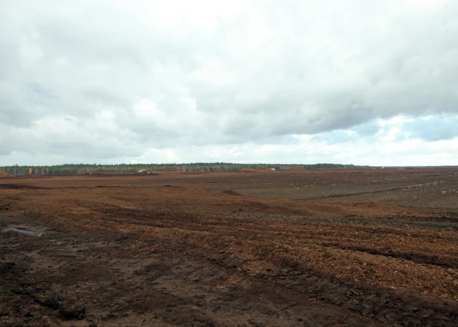 Valdība atbalsta atteikšanos no kūdras izmantošanas enerģētikā