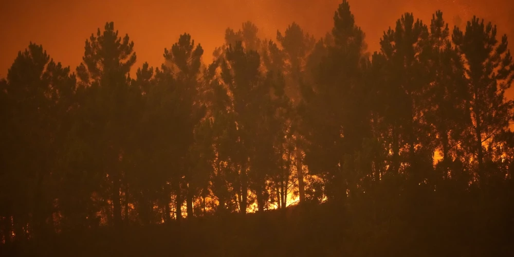 FOTO: Portugālē turpina plosīties meža ugunsgrēki