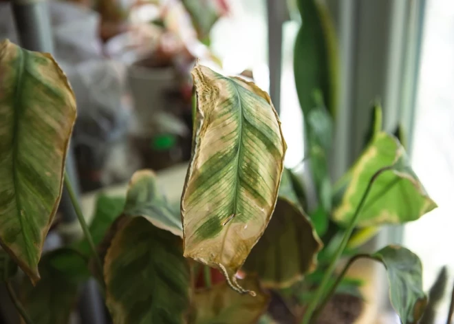 Плохие приметы в доме: они предупредят о том, что вы в опасности