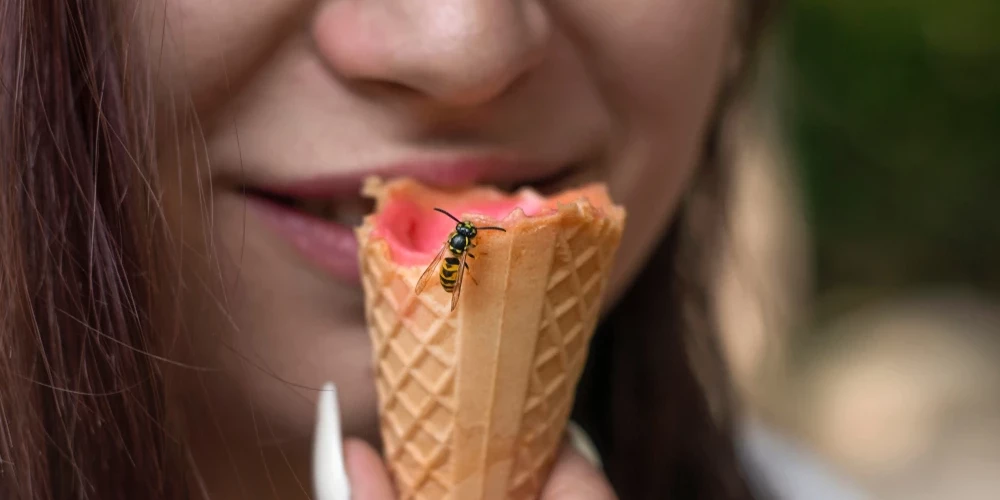 Izvairīties no bites vai lapsenes dzēliena siltajā laikā ir teju neiespējami.