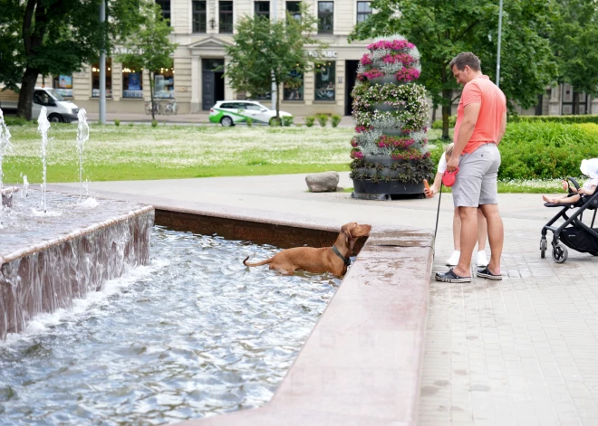 Laika prognoze piektdienai