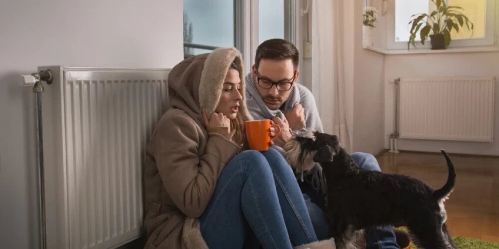 Иллюстративное фото (Фото: Shutterstock)