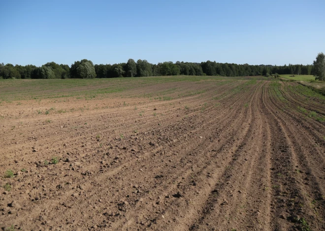 Kā izpirkt zemi no pašvaldības?