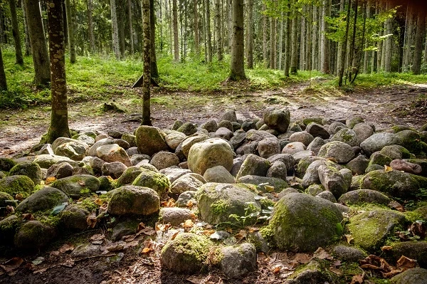 Pokaiņu mežs slavens ar saviem mītiskajiem akmens krāvumiem.