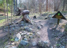 Pokaiņu mežs ir apvīts dažādām maģiskām un ezotēriskām leģendām.