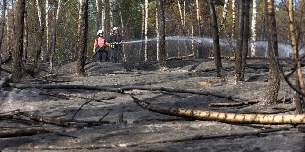 Eiropā meža ugunsgrēkos šogad izpostītas lielākas platības nekā kopumā pērn