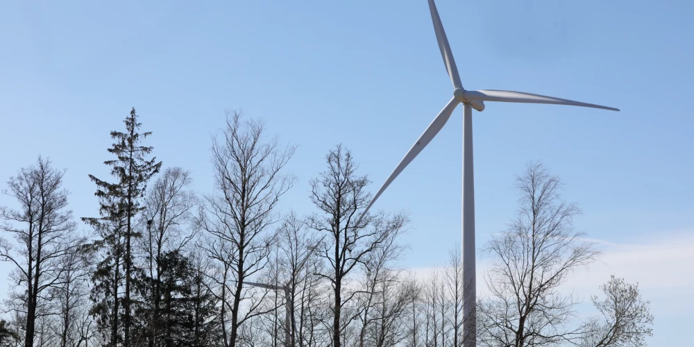 Izveido "Latvenergo" un "Latvijas valsts mežu" kopuzņēmumu vēja parku attīstībai