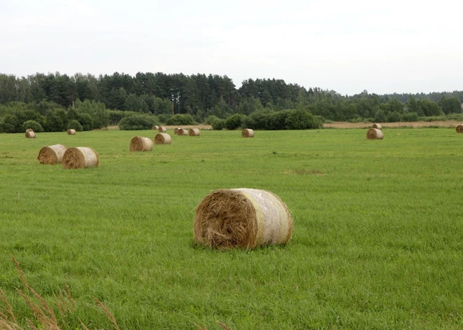 Pirmdien Latvijā gaidāms saulains laiks un gaiss iesils līdz 26 grādiem