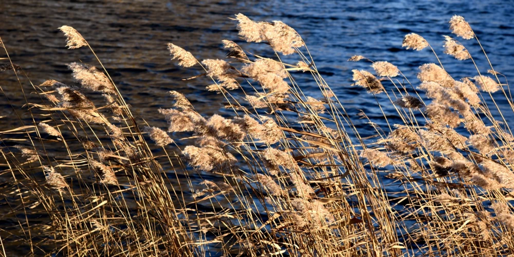 Иллюстративное фото