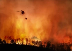 В Калифорнии несколько дней не могут потушить крупный лесной пожар