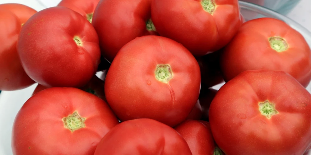 Kā uzglabāt tomātus, lai tie nepaliek miltaini? 