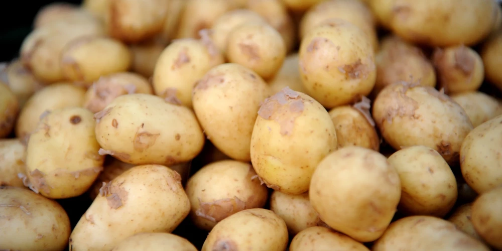 Jaunie kartupeļi - izcils vitamīnu avots, bet ne visiem piemērots