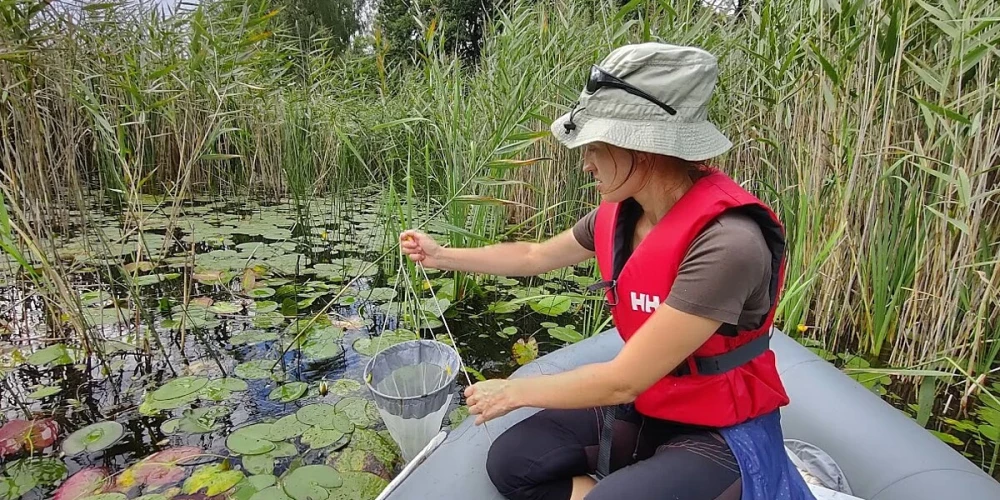 Latvijas ezeros atklāj jaunas ūdensblusas un airkājvēžu sugu atradnes