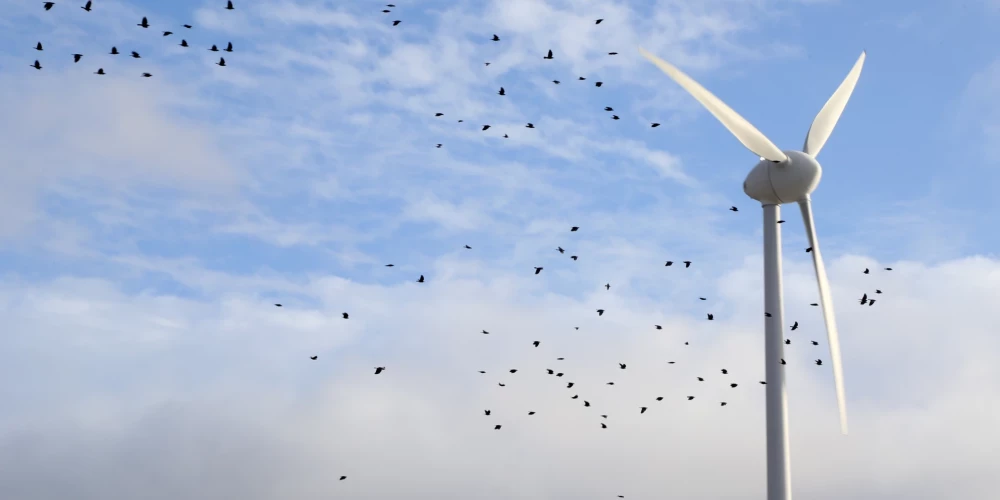 Эстония планирует электроподключение офшорного ветропарка в Рижском заливе