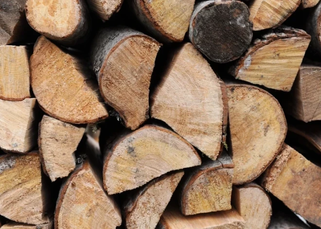 Поддержку за дрова, гранулы и брикеты можно будет получить без предъявления чеков