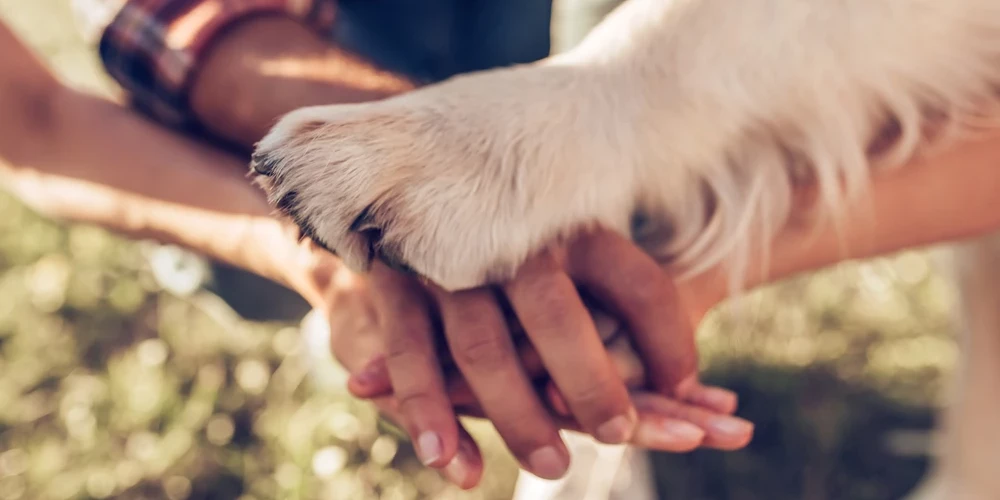 Иллюстративное фото