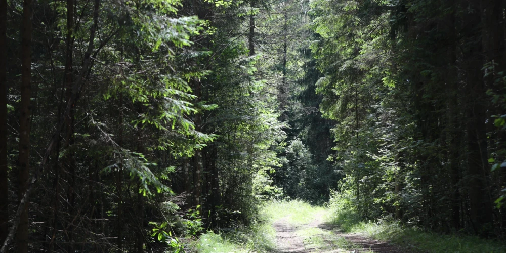 Strādnieks mežā atrod kopš 31. jūlija bezvēsts pazudušu sievieti
