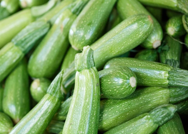 Универсальный овощ кабачок: находка для худеющих и женщин