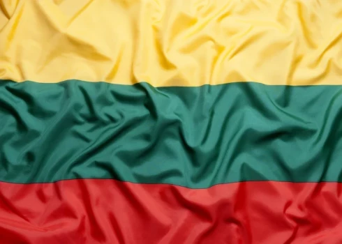 В Литве предлагают лишать гражданства за поддержку страны-агрессора