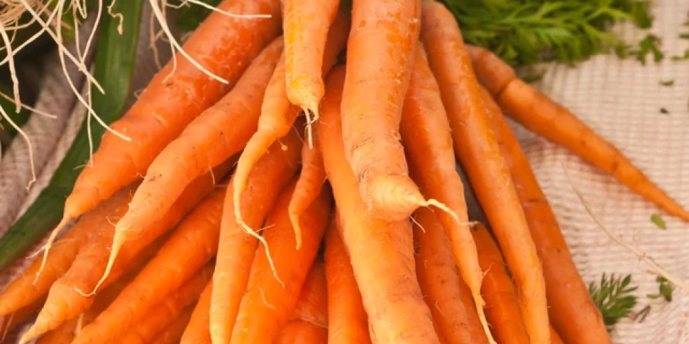 В каком месяце убирать морковь: точные сроки и главные правила