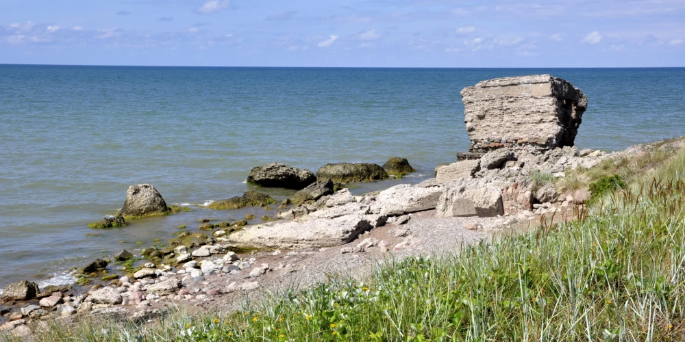 Борьба за экологию: латвийские ученые используют торф для очистки моря