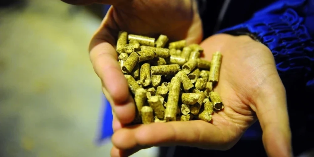 В Латвии растет число обманутых покупателей древесных гранул