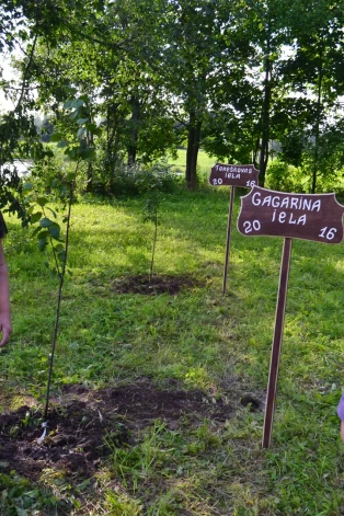 Pirms sešiem gadiem Krāslavas novada Indras Zaptes dārzā iestādīja plūmju kociņus par godu ciemata “kosmiskajām ielām”, tos veltot gan Gagarina, gan Terēškovas vārdā nosauktajām ielām.