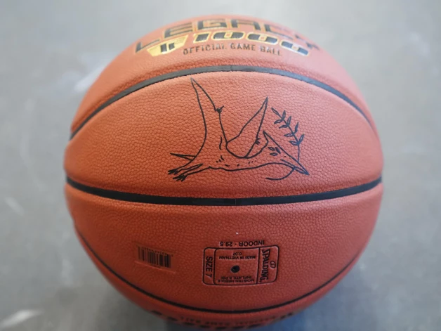  Basketbola bumba ar šā gada" Krastu mača" māksliniecisko noformējumu. “Bumba ir kā pterodaktila ola, kas ir dzīvības turpinājums,” tēlaini saka mākslinieks. 