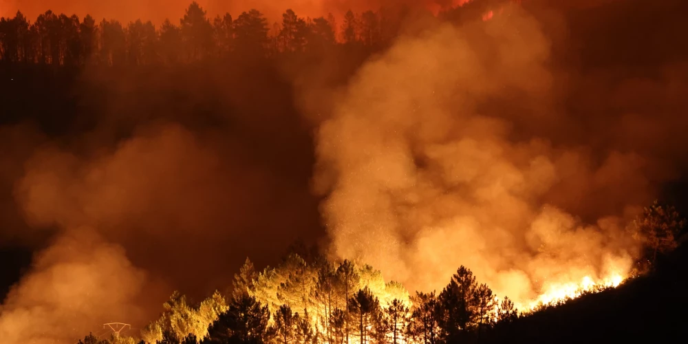 Šogad ES plosās postošākie meža ugunsgrēki kopš datu apkopošanas sākuma 2006. gadā