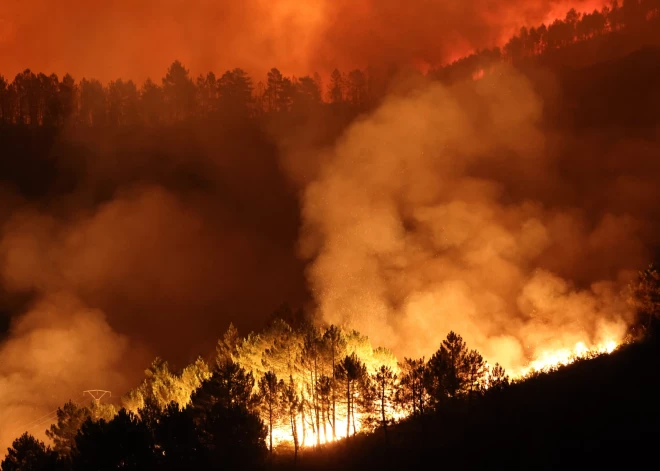 Šogad ES plosās postošākie meža ugunsgrēki kopš datu apkopošanas sākuma 2006. gadā