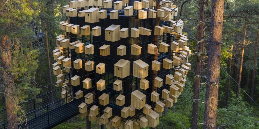 В Швеции открыли отель на дереве с 350 скворечниками