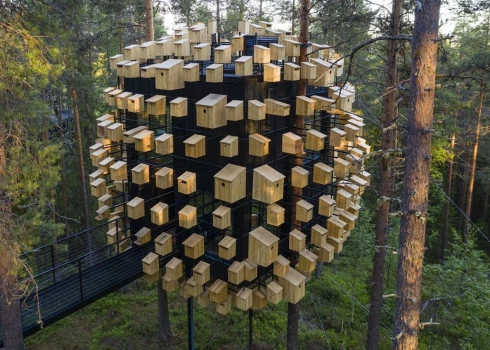 В Швеции открыли отель на дереве с 350 скворечниками