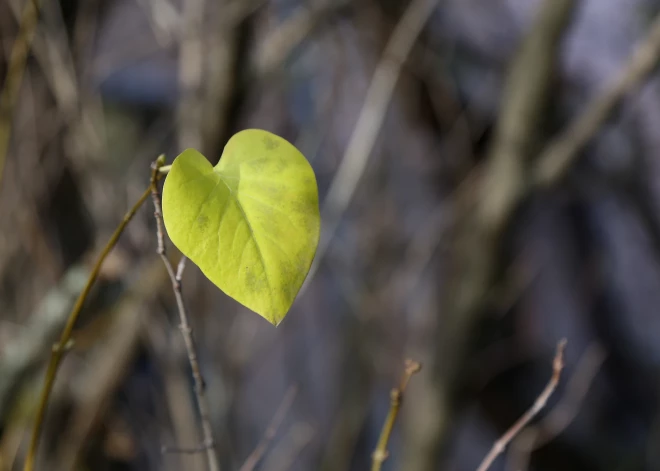 Наступление метеорологической осени ожидается на неделю позже
