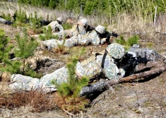 Zemessardzes 3. Latgales brigādes mācību poligona "Meža Mackeviči" militārās mācības.