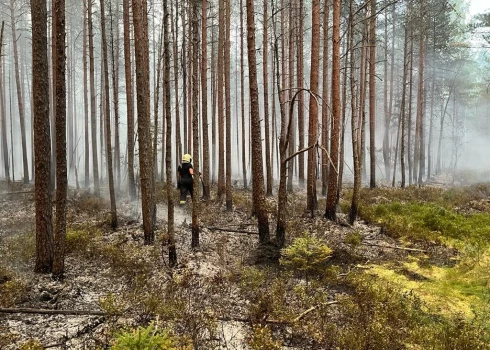 Lai nokļūtu līdz degošas mežam, Vaives pagastā ugunsdzēsējiem vajadzēja vairāk nekā kilometru kājām doties meža biezoknī.