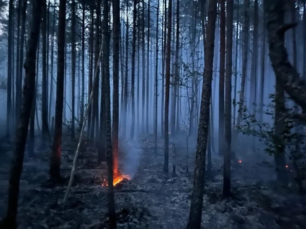 Turpinoties sausajam un karstajam laikam, mežos saglabājas augsta ugunsbīstamība, brīdina Latvijas Vides, ģeoloģijas un meteoroloģijas centrs.