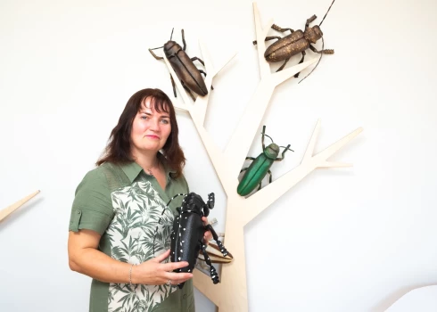 Valsts augu aizsardzības dienesta (VAAD) Integrētās augu aizsardzības daļas vadītāja Anitra Lestlande.