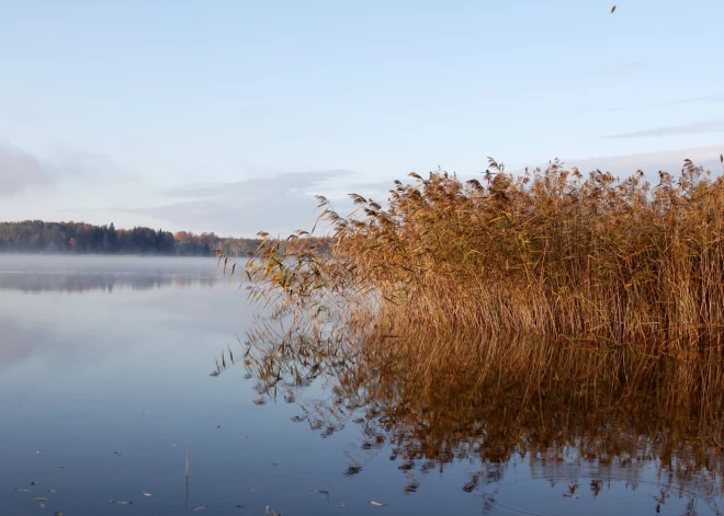 Pēc aukstuma viļņa nākamnedēļ kļūs siltāks